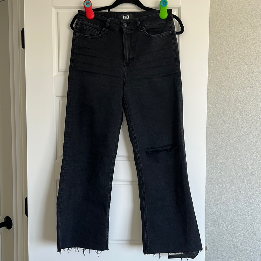 Paige Anessa Crop